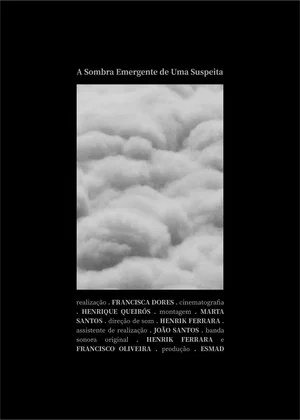 Постер: The Emerging Shadow of a Suspicion