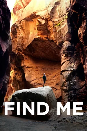 Постер: Find Me