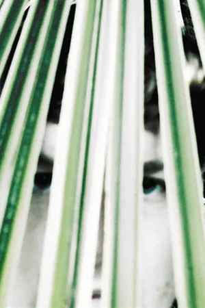 Постер: Longing of the idle plants