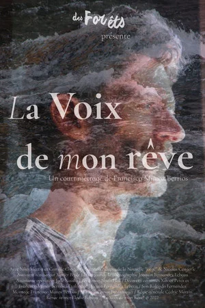 Постер: The Voice of My Dream