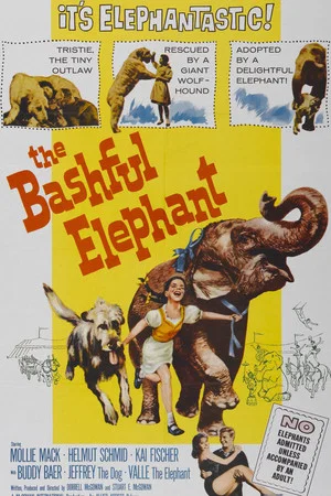 Постер: The Bashful Elephant