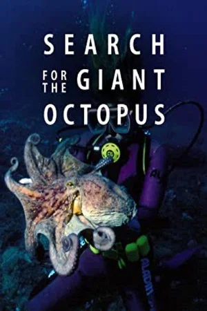 Постер: Search for the Giant Octopus