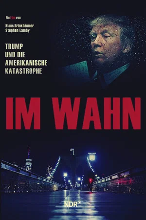 Постер: In Delusion: Trump and the American Catastrophe