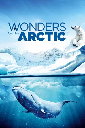 Постер: Wonders of the Arctic