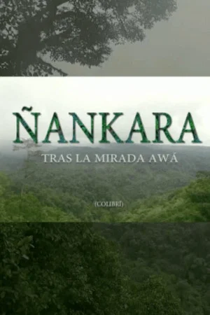 Постер: Ñankara