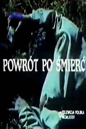 Постер: Powrót po śmierć