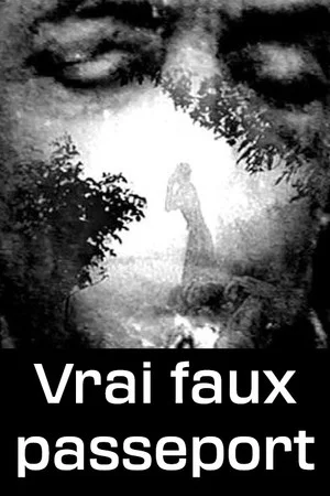 Постер: Vrai faux passeport