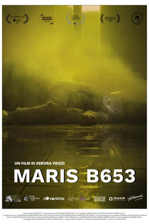Постер: Maris B653