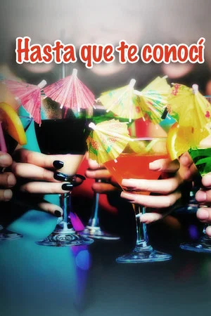 Постер: Hasta que te conocí