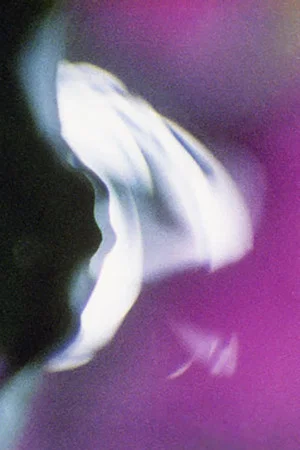 Постер: Voluptuous Sleep