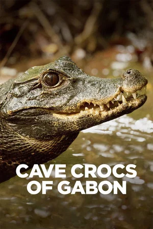 Постер: Cave Crocs of Gabon
