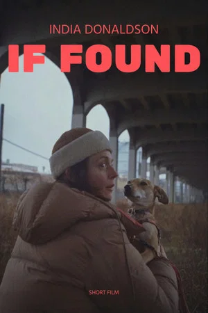 Постер: If Found