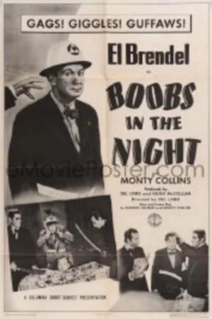 Постер: Boobs in the Night