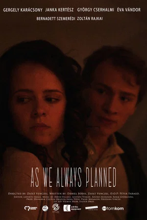 Постер: As we always planned
