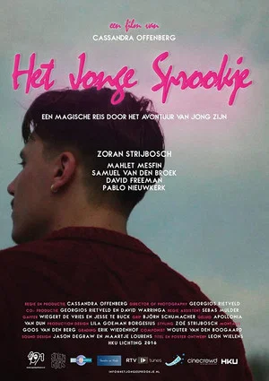 Постер: Het jonge sprookje