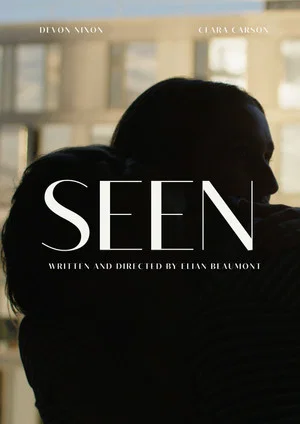 Постер: Seen