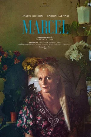 Постер: Marcel