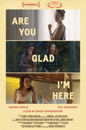 Постер: Are You Glad I'm Here