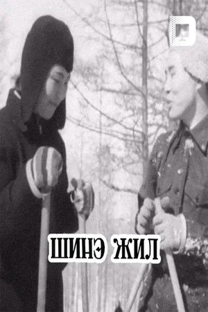 Постер: Новый год