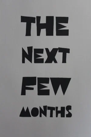 Постер: The Next Few Months