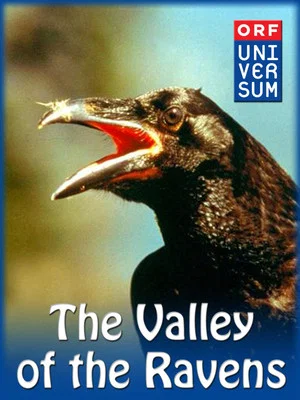Постер: Valley of the Ravens