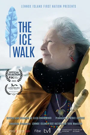 Постер: The Ice Walk