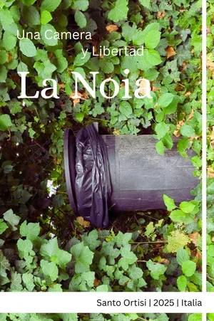 Постер: La noia