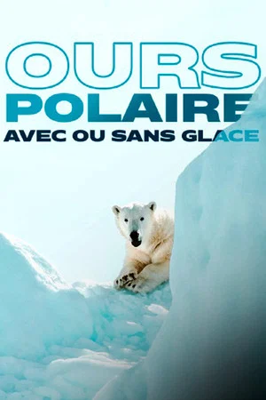 Постер: Face to Face with the Polar Bear