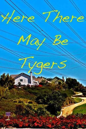 Постер: Here There May Be Tygers