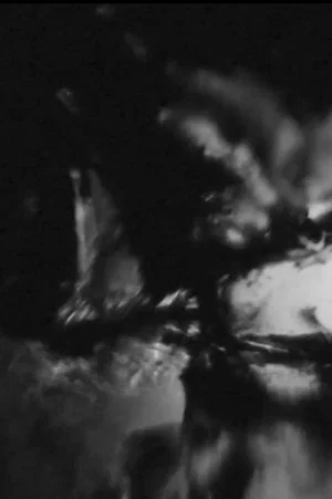 Постер: Ken Jacobs / JG Thirlwell @ The Nervous Magic Lantern Festival