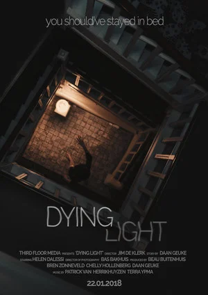 Постер: Dying Light