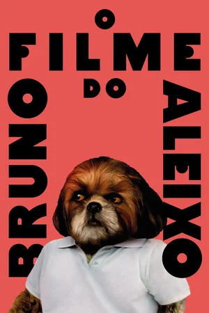 Постер: Bruno Aleixo's Film