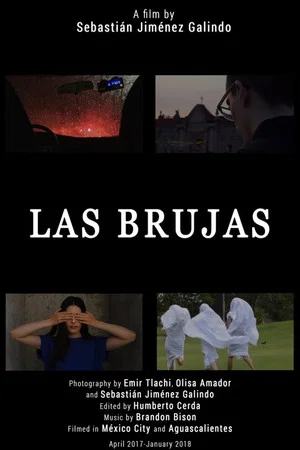 Постер: Las brujas
