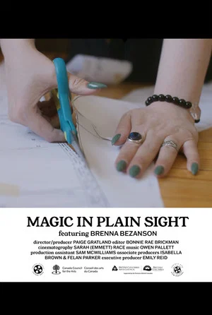 Постер: Magic in Plain Sight