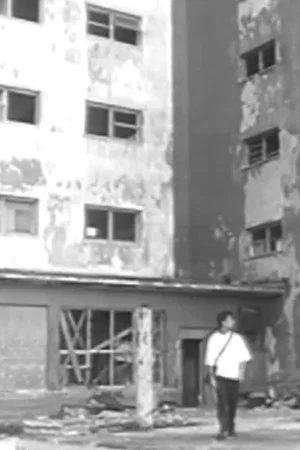Постер: Light Valve