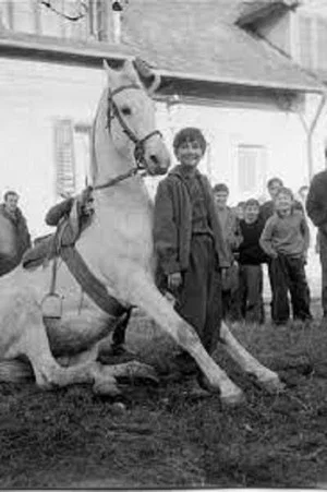 Постер: The Time of Horses