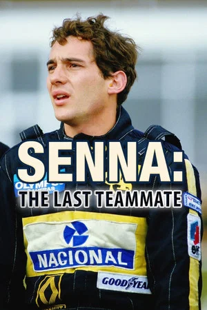 Постер: The Last Teammate