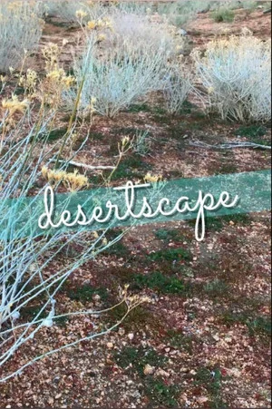Постер: Desertscape