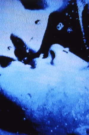 Постер: Self-Portrait in 23 Rounds: a Chapter in David Wojnarowicz’s Life, 1989–1991