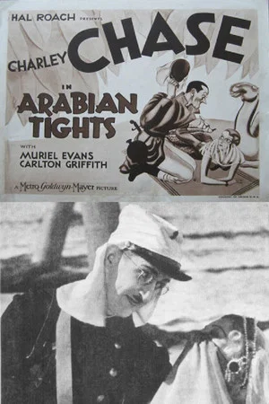 Постер: Arabian Tights