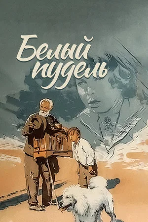 Постер: Белый пудель