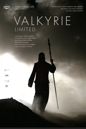 Постер: Valkyrie Limited