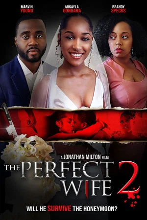 Постер: The Perfect Wife 2