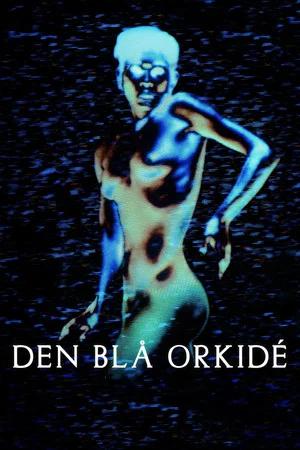 Постер: The Blue Orchid