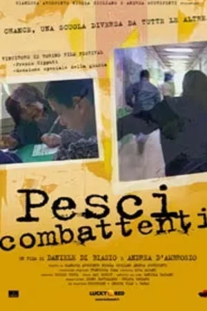Постер: Pesci combattenti
