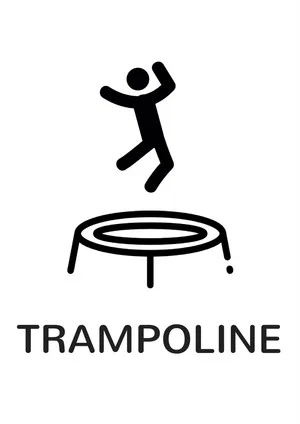 Постер: Trampoline