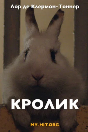 Постер: Rabbit
