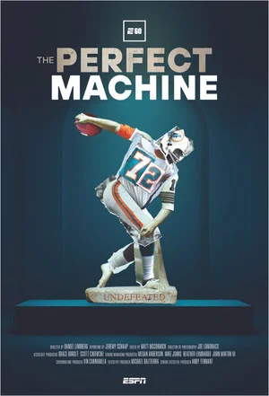 Постер: The Perfect Machine