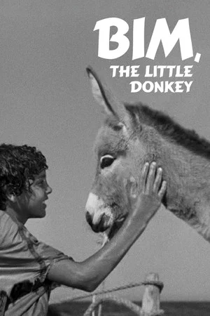 Постер: Bim, the Little Donkey