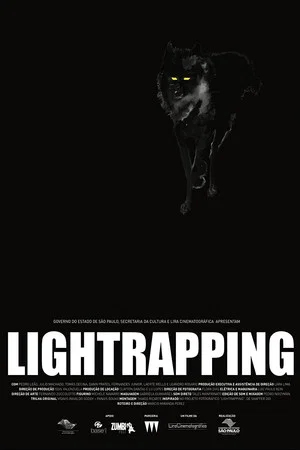 Постер: Lightrapping